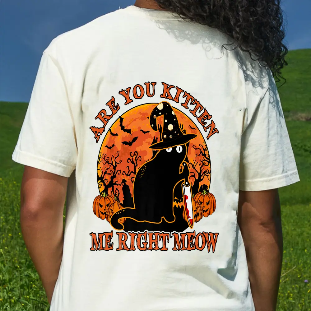 Black Cat Halloween Are You Kitten Me Right Meow Lover Gift Premium T-Shirt - Cream