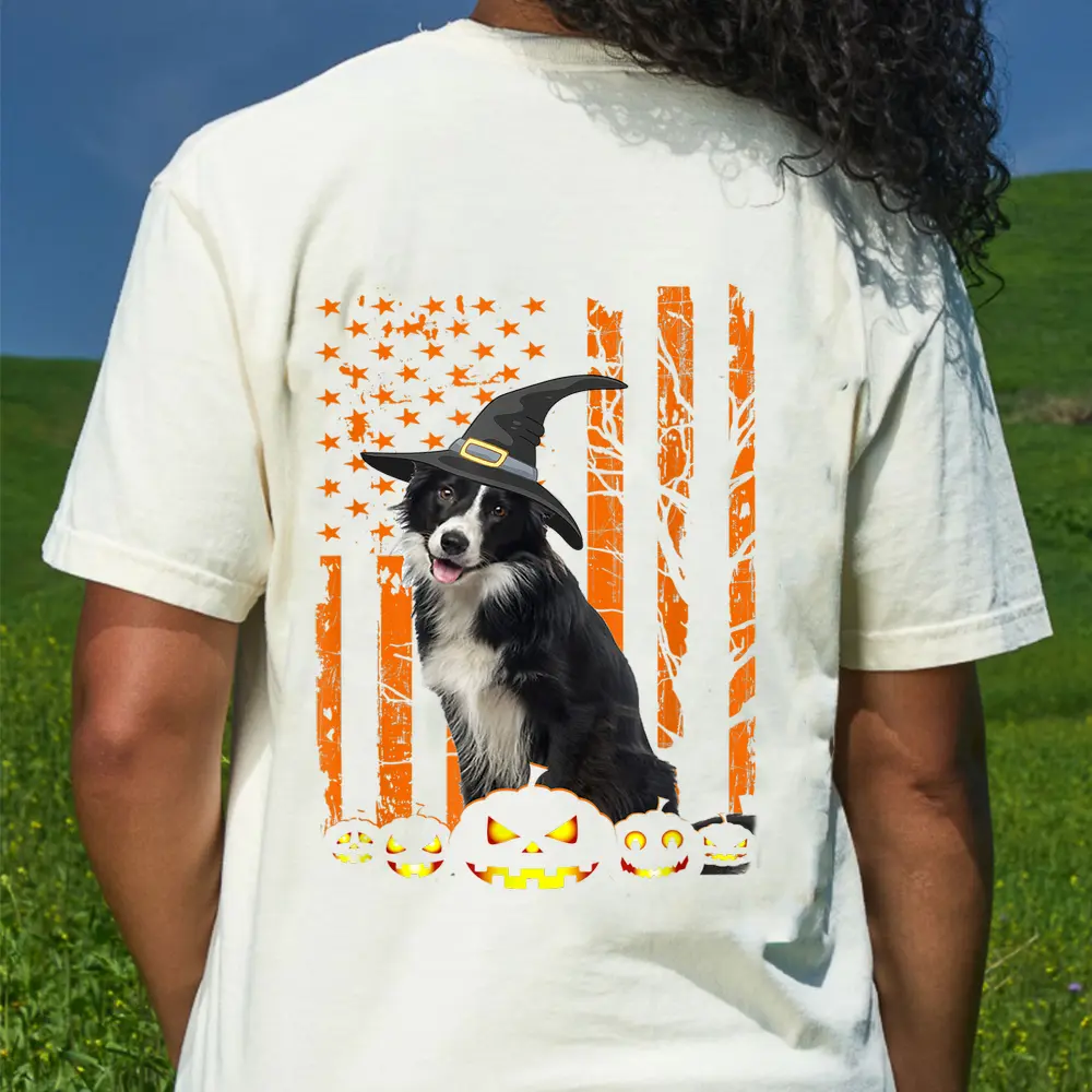 Border Collie Dog Pumpkin American Flag Witch Halloween T-Shirt - Cream